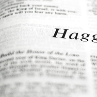 Sunday 10:15am 30 Min Bible Study - The Prophet Haggai