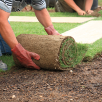 Landscaping
