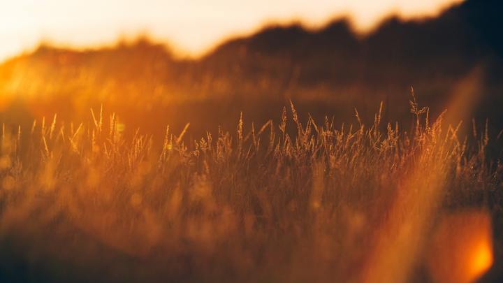 Logo for Adults - Fugate