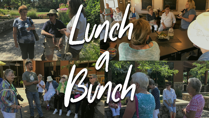 Logo for Lunch A Bunch