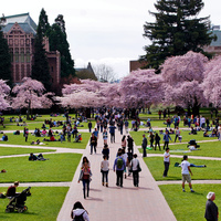 University of Washington Fellowship