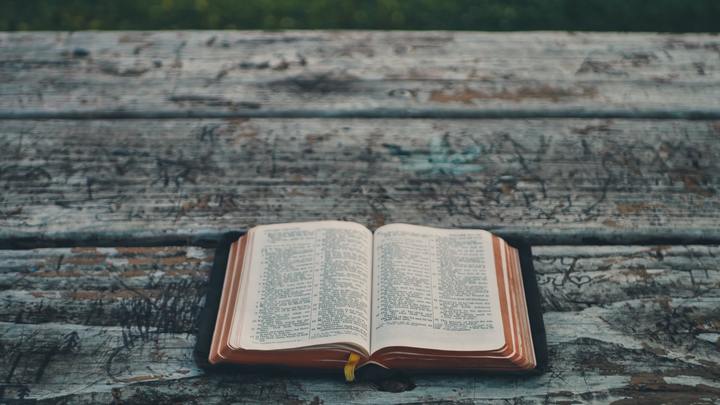 Logo for McCarnan Group