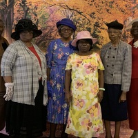 Logo for Women's of Wisdom - 60 and Above