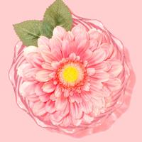 Logo for Women's Brunch 05.16.2026