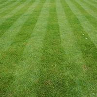 Lawn Care
