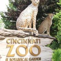 Zoo Day