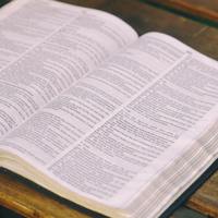 1st & 2nd Timothy Study Group