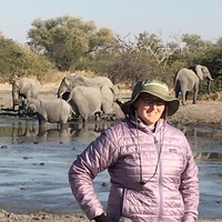 The Elegant Elephants