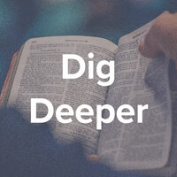 Logo for Dig Deeper