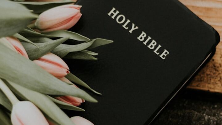 Tuesday Morning Women's Bible Study