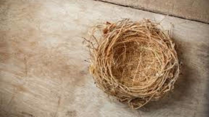 Logo for Empty Nest