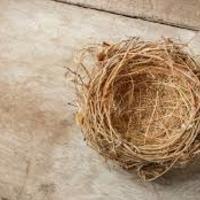 Logo for Empty Nest