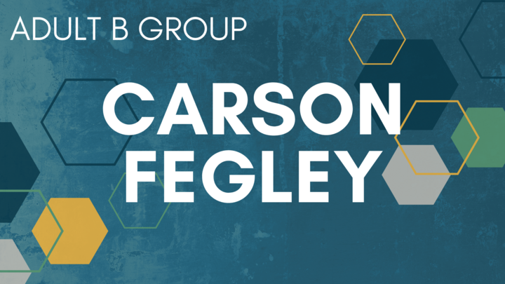 Logo for Carson/Fegley B Group