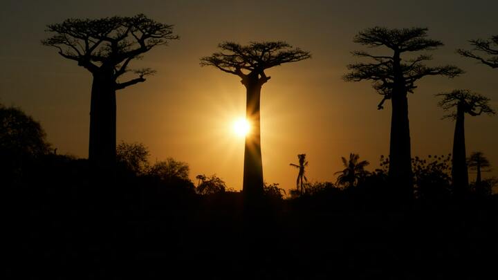 Logo for Cornubia Saturday Ladies Group