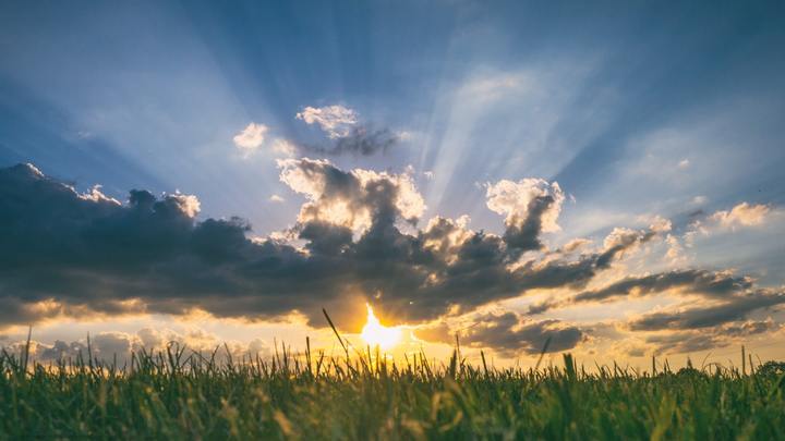 Logo for People of the Way