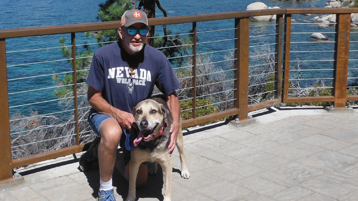 Logo for Pontoni Life Group