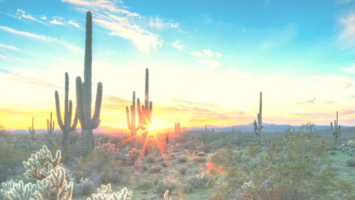 Logo for Men's Prayer