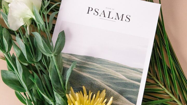 Logo for FRS (Frisco) | Women | Promise Principle | Shelby & Monica