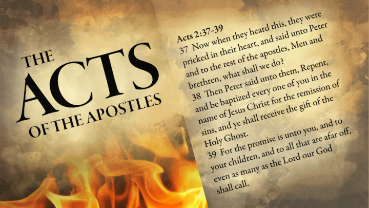 Logo for Women's Bible Study on Zoom,   Acts Part 2, January 16, 2026