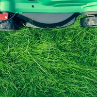 Logo for Building & Grounds Team