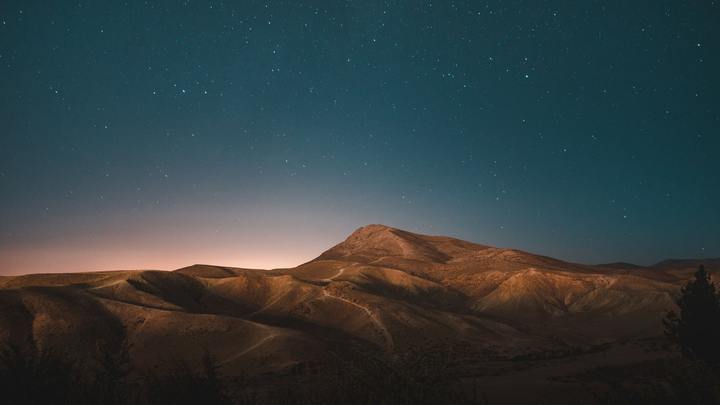 Logo for Adults - Pappas