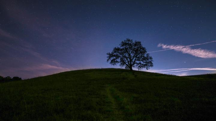 Logo for Thompson/Eagen Group