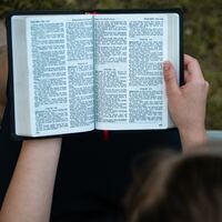 Logo for 9:15 Sunday Seasonal Class-Dana Goodwin