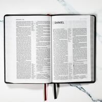 Logo for Adult Bible Study