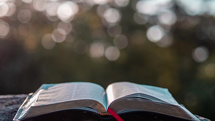 Logo for Frisco Community Group - Stich