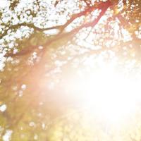 Logo for Men's Prayer (Thursday Mornings)