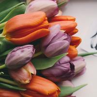 Logo for "Love" Ladies - Sherry Martin