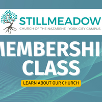 Logo for Intro to Stillmeadow: York City Campus