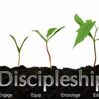 Discipleship: Foundation (D1)