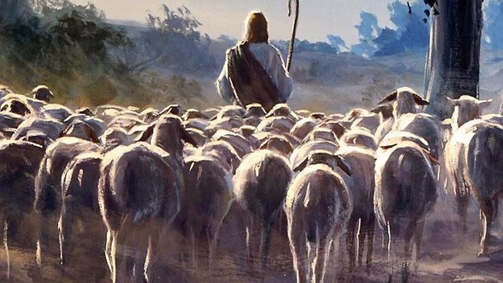 Logo for Safety Team