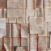 Logo for Adult Bible Study