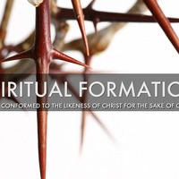 Discipleship: Formation (D3)