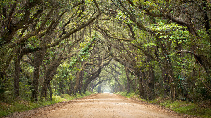Logo for Cunningham Community Group (Word Warriors)