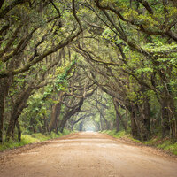 Logo for Cunningham Community Group (Word Warriors)