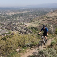 South Valley Community Group