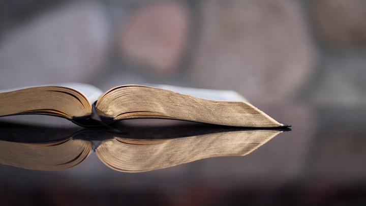 Logo for Bible Class - Adults / Clase de Adultos