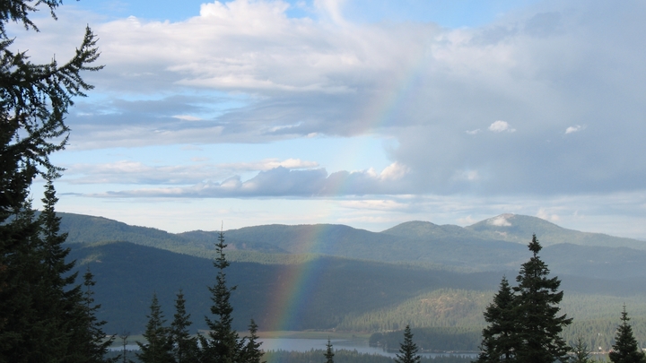 Logo for Sunday Mornings