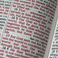 Logo for Women's Bible Study