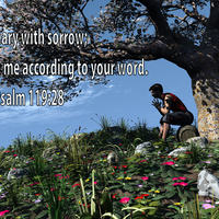 Logo for Charlie and Judi Wade