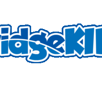Logo for Bridge Kids Leaders