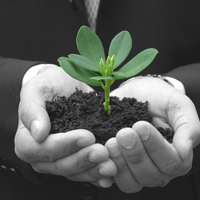 Logo for Maturity Team