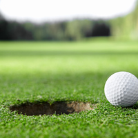 Men's Golfing Group