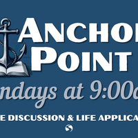 Logo for Anchor Point