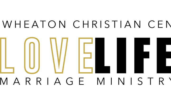 Logo for LoveLife