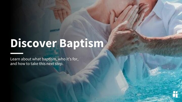 Logo for Discover Baptism