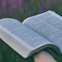 Logo for Ladies' Bible Study